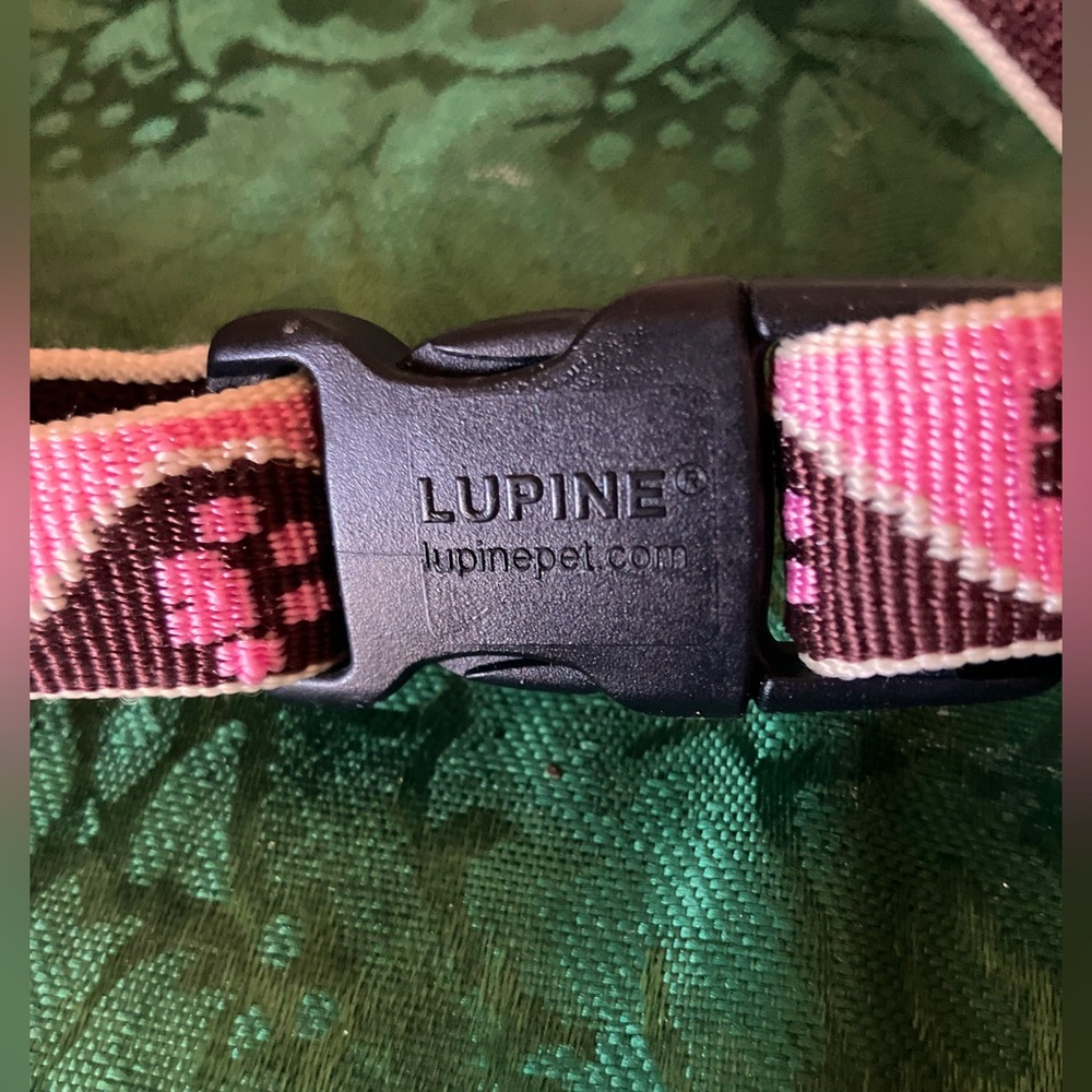 Paw Print Collar